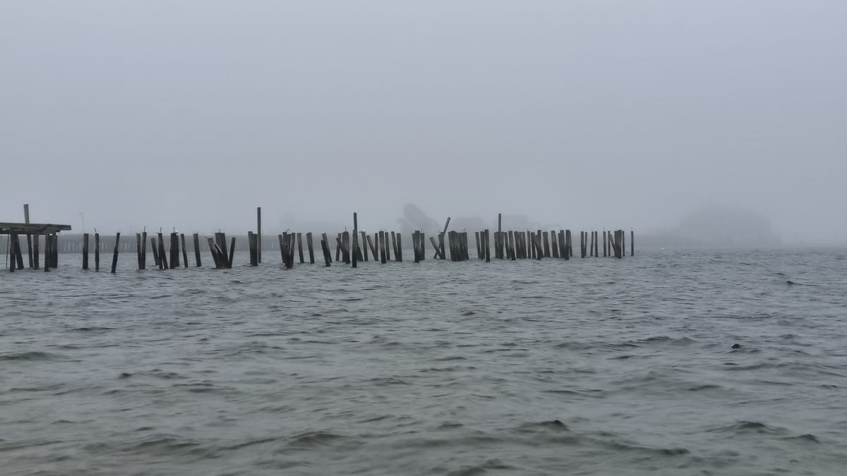 fog,