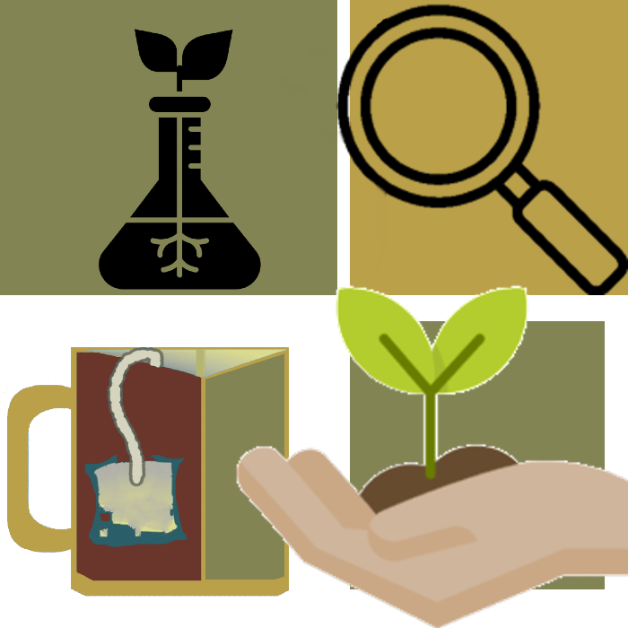 Members' Lab this Sunday