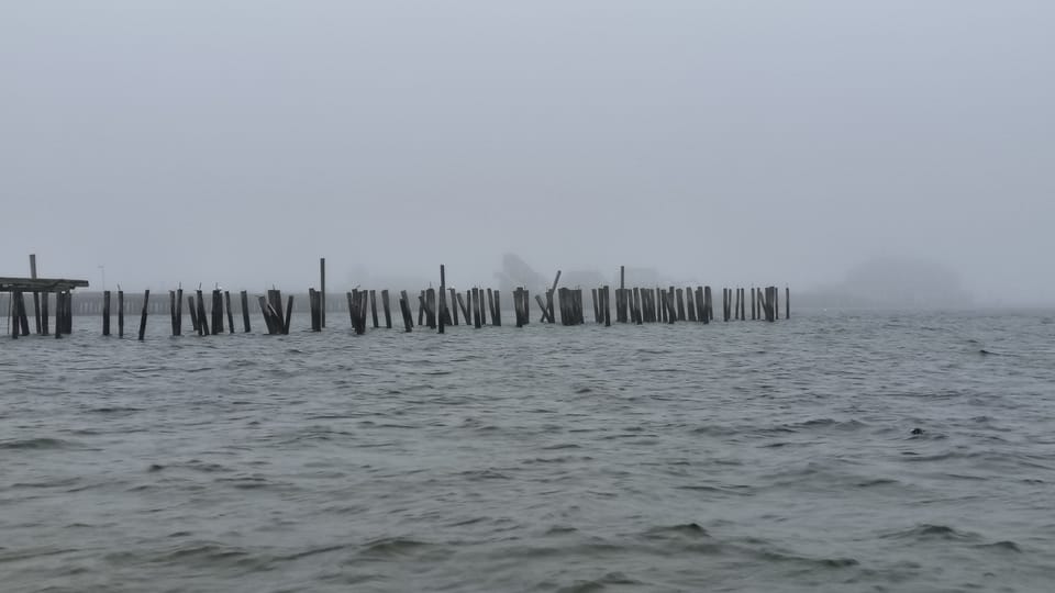 fog,