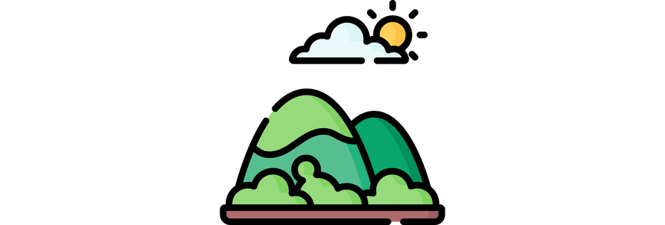 Plants Based On Mountains