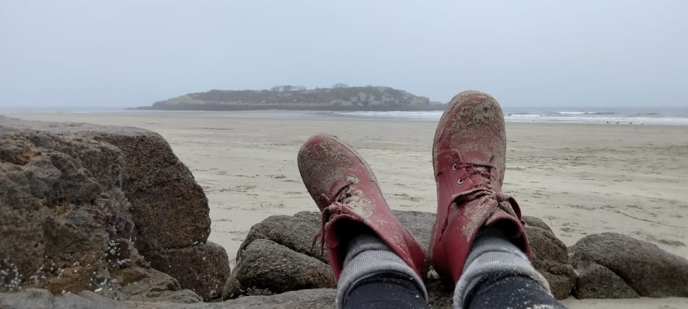 A Guided PAUSE Every Sunday